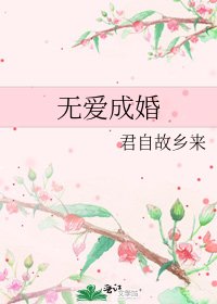 《无爱成婚》
